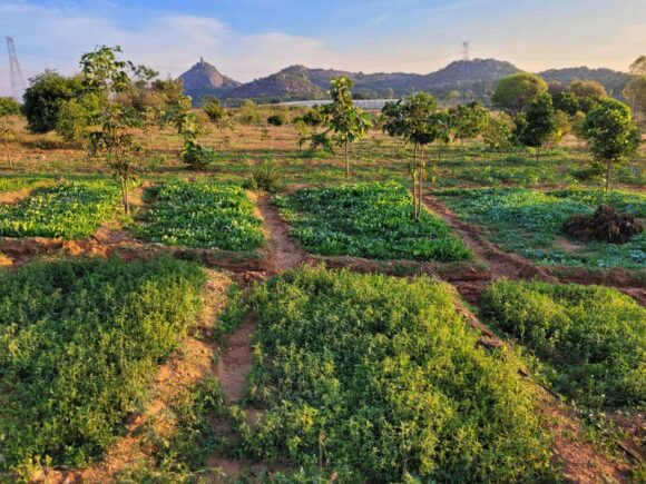 Best Managed Farmland Near Hosur & Its 8 Benefits